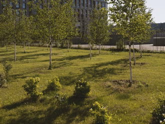 daylight-analog-city-landscape-with-buildings (Large)
