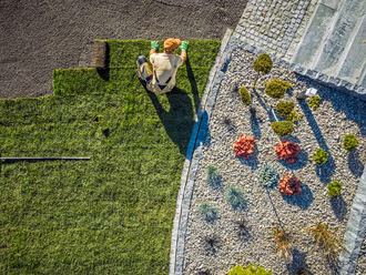 high-angle-view-plant-growing-field(1)